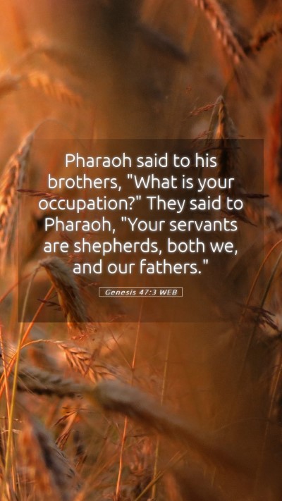 Picture 05 - Genesis 47:3 WEB Mobile Phone Wallpaper - Pharaoh said to his brothers, 