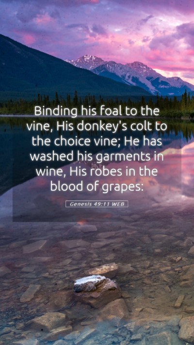 Picture 05 - Genesis 49:11 WEB Mobile Phone Wallpaper - Binding his foal to the vine, His donkey's colt - Mobile Bible Verse Wallpaper