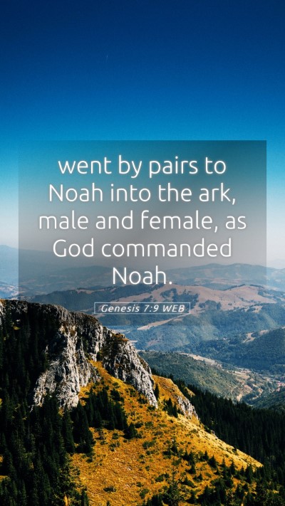 Picture 05 - Genesis 7:9 WEB Mobile Phone Wallpaper - went by pairs to Noah into the ark, male and - Mobile Bible Verse Wallpaper