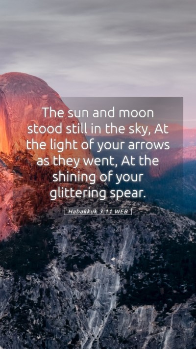 Picture 05 - Habakkuk 3:11 WEB Mobile Phone Wallpaper - The sun and moon stood still in the sky, At the - Mobile Bible Verse Wallpaper