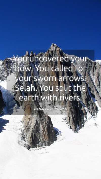 Picture 05 - Habakkuk 3:9 WEB Mobile Phone Wallpaper - You uncovered your bow. You called for your sworn - Mobile Bible Verse Wallpaper