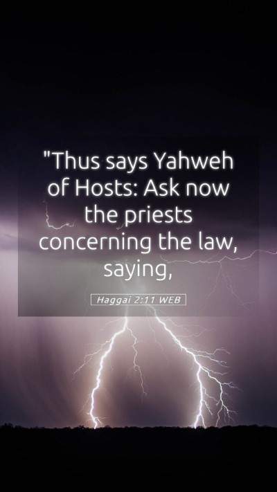 Picture 05 - Haggai 2:11 WEB Mobile Phone Wallpaper - 