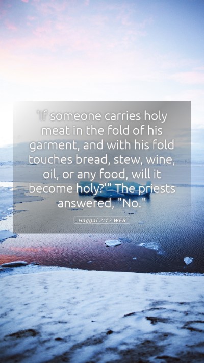 Picture 05 - Haggai 2:12 WEB Mobile Phone Wallpaper - 'If someone carries holy meat in the fold of his - Mobile Bible Verse Wallpaper