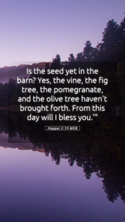 Picture 05 - Haggai 2:19 WEB Mobile Phone Wallpaper - Is the seed yet in the barn? Yes, the vine, the - Mobile Bible Verse Wallpaper