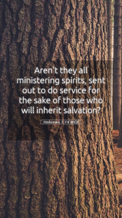 Picture 05 - Hebrews 1:14 WEB Mobile Phone Wallpaper - Aren't they all ministering spirits, sent out to - Mobile Bible Verse Wallpaper