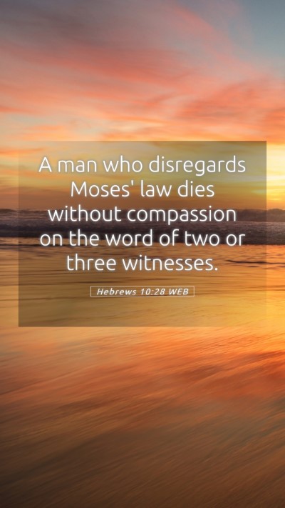 Picture 05 - Hebrews 10:28 WEB Mobile Phone Wallpaper - A man who disregards Moses' law dies without - Mobile Bible Verse Wallpaper