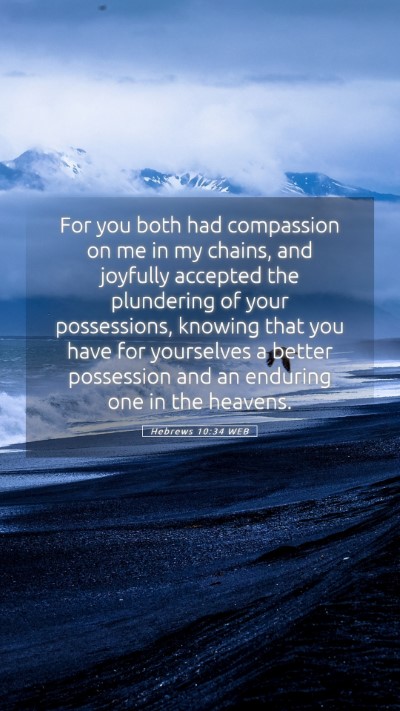 Picture 05 - Hebrews 10:34 WEB Mobile Phone Wallpaper - For you both had compassion on me in my chains, - Mobile Bible Verse Wallpaper