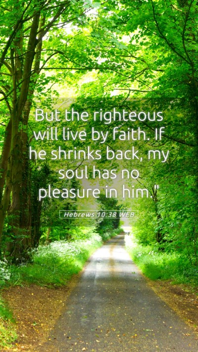 Picture 05 - Hebrews 10:38 WEB Mobile Phone Wallpaper - But the righteous will live by faith. If he - Mobile Bible Verse Wallpaper