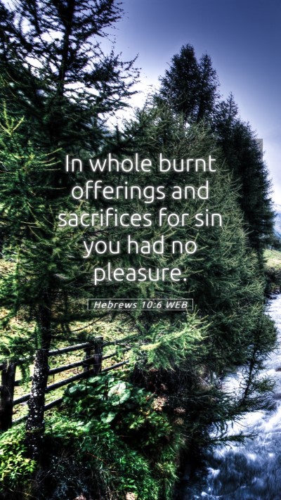 Picture 05 - Hebrews 10:6 WEB Mobile Phone Wallpaper - In whole burnt offerings and sacrifices for sin - Mobile Bible Verse Wallpaper