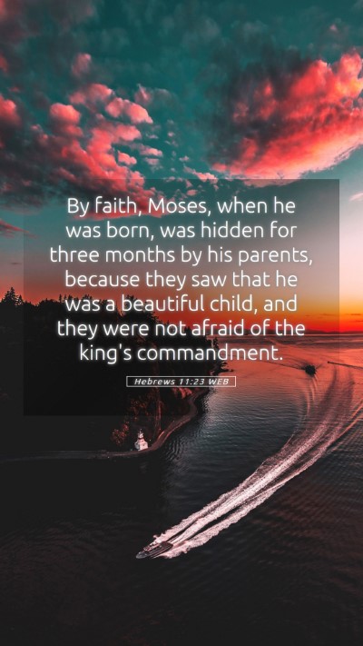 Picture 05 - Hebrews 11:23 WEB Mobile Phone Wallpaper - By faith, Moses, when he was born, was hidden for - Mobile Bible Verse Wallpaper