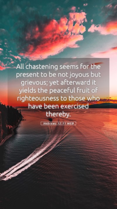 Picture 05 - Hebrews 12:11 WEB Mobile Phone Wallpaper - All chastening seems for the present to be not - Mobile Bible Verse Wallpaper