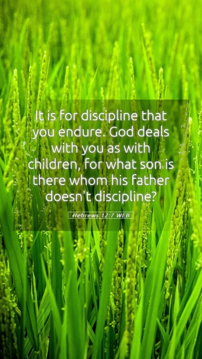 Picture 05 - Hebrews 12:7 WEB Mobile Phone Wallpaper - It is for discipline that you endure. God deals - Mobile Bible Verse Wallpaper