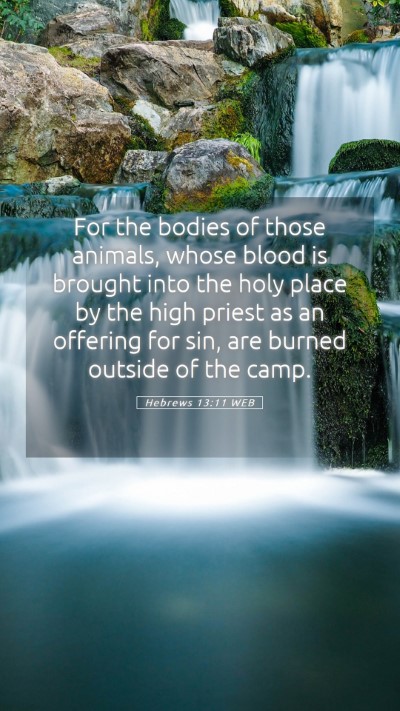 Picture 05 - Hebrews 13:11 WEB Mobile Phone Wallpaper - For the bodies of those animals, whose blood is - Mobile Bible Verse Wallpaper