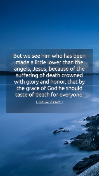 Picture 05 - Hebrews 2:9 WEB Mobile Phone Wallpaper - But we see him who has been made a little lower - Mobile Bible Verse Wallpaper