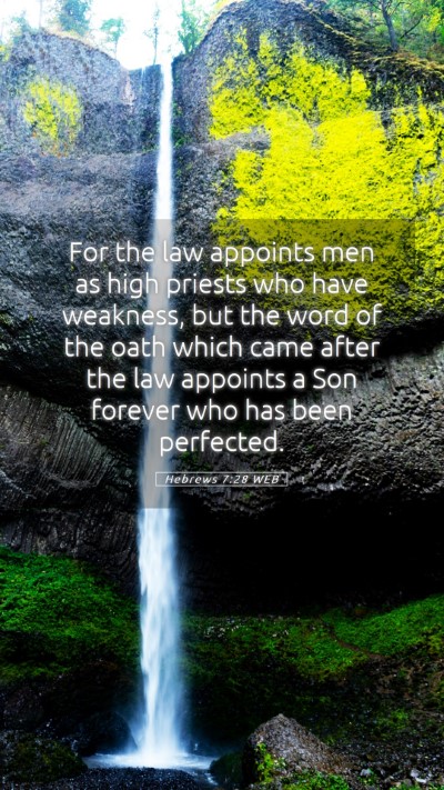 Picture 05 - Hebrews 7:28 WEB Mobile Phone Wallpaper - For the law appoints men as high priests who have - Mobile Bible Verse Wallpaper