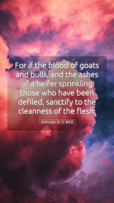 Picture 05 - Hebrews 9:13 WEB Mobile Phone Wallpaper - For if the blood of goats and bulls, and the - Mobile Bible Verse Wallpaper
