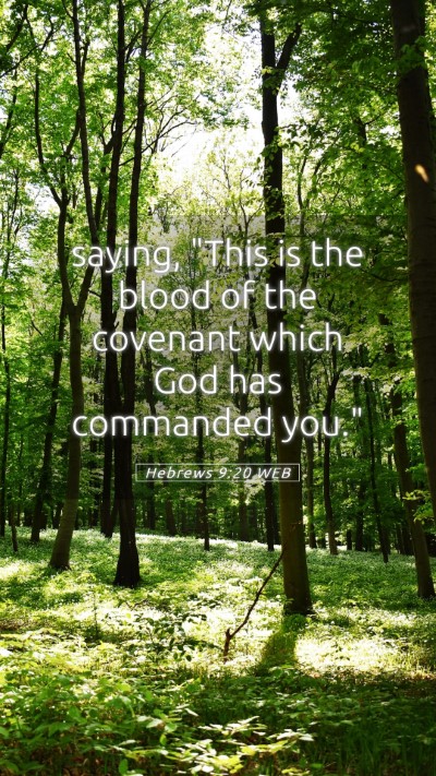 Picture 05 - Hebrews 9:20 WEB Mobile Phone Wallpaper - saying, 