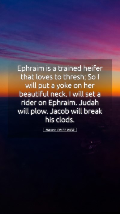 Picture 05 - Hosea 10:11 WEB Mobile Phone Wallpaper - Ephraim is a trained heifer that loves to thresh; - Mobile Bible Verse Wallpaper