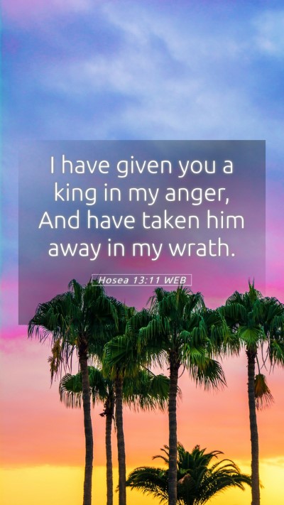 Picture 05 - Hosea 13:11 WEB Mobile Phone Wallpaper - I have given you a king in my anger, And have - Mobile Bible Verse Wallpaper