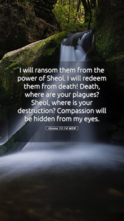 Picture 05 - Hosea 13:14 WEB Mobile Phone Wallpaper - I will ransom them from the power of Sheol. I - Mobile Bible Verse Wallpaper