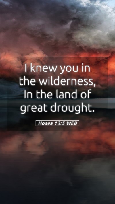 Picture 05 - Hosea 13:5 WEB Mobile Phone Wallpaper - I knew you in the wilderness, In the land of - Mobile Bible Verse Wallpaper