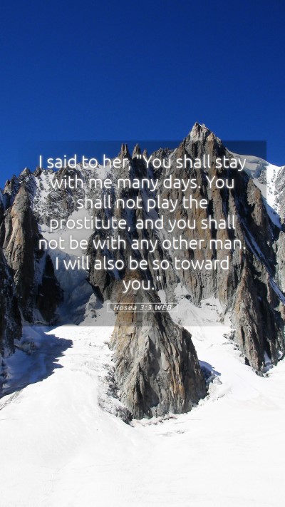 Picture 05 - Hosea 3:3 WEB Mobile Phone Wallpaper - I said to her, 
