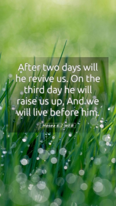Picture 05 - Hosea 6:2 WEB Mobile Phone Wallpaper - After two days will he revive us. On the third - Mobile Bible Verse Wallpaper
