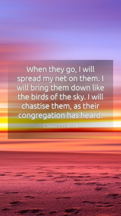 Picture 05 - Hosea 7:12 WEB Mobile Phone Wallpaper - When they go, I will spread my net on them. I - Mobile Bible Verse Wallpaper