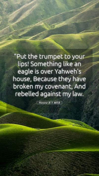 Picture 05 - Hosea 8:1 WEB Mobile Phone Wallpaper - 