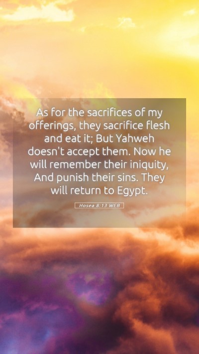Picture 05 - Hosea 8:13 WEB Mobile Phone Wallpaper - As for the sacrifices of my offerings, they - Mobile Bible Verse Wallpaper