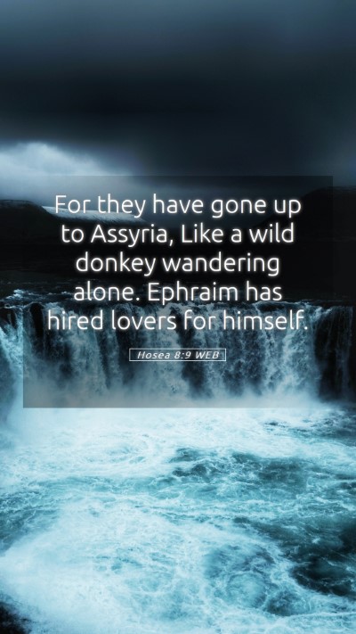 Picture 05 - Hosea 8:9 WEB Mobile Phone Wallpaper - For they have gone up to Assyria, Like a wild - Mobile Bible Verse Wallpaper