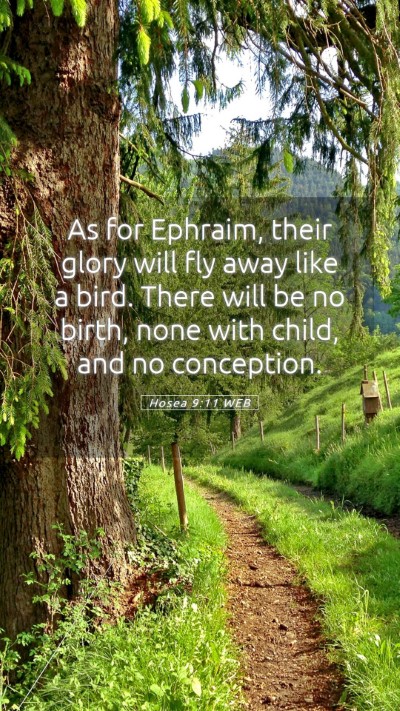 Picture 05 - Hosea 9:11 WEB Mobile Phone Wallpaper - As for Ephraim, their glory will fly away like a - Mobile Bible Verse Wallpaper