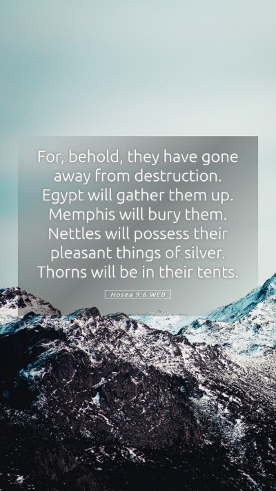 Picture 05 - Hosea 9:6 WEB Mobile Phone Wallpaper - For, behold, they have gone away from - Mobile Bible Verse Wallpaper