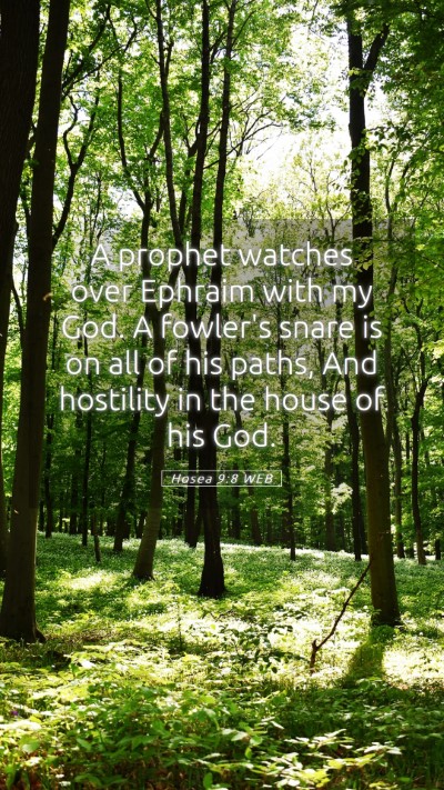 Picture 05 - Hosea 9:8 WEB Mobile Phone Wallpaper - A prophet watches over Ephraim with my God. A - Mobile Bible Verse Wallpaper