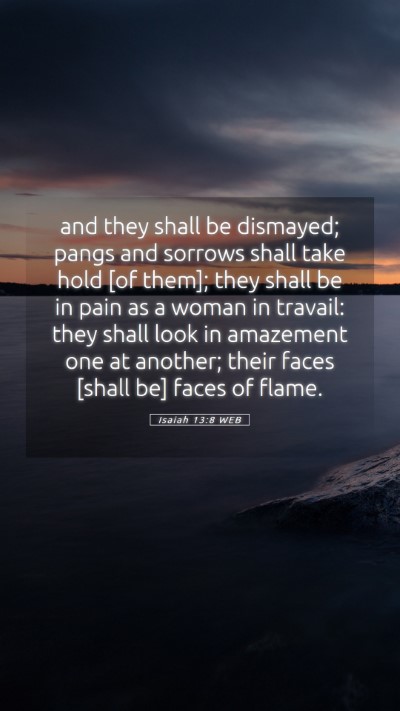 Picture 05 - Isaiah 13:8 WEB Mobile Phone Wallpaper - and they shall be dismayed; pangs and sorrows - Mobile Bible Verse Wallpaper