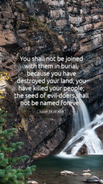 Picture 05 - Isaiah 14:20 WEB Mobile Phone Wallpaper - You shall not be joined with them in burial, - Mobile Bible Verse Wallpaper