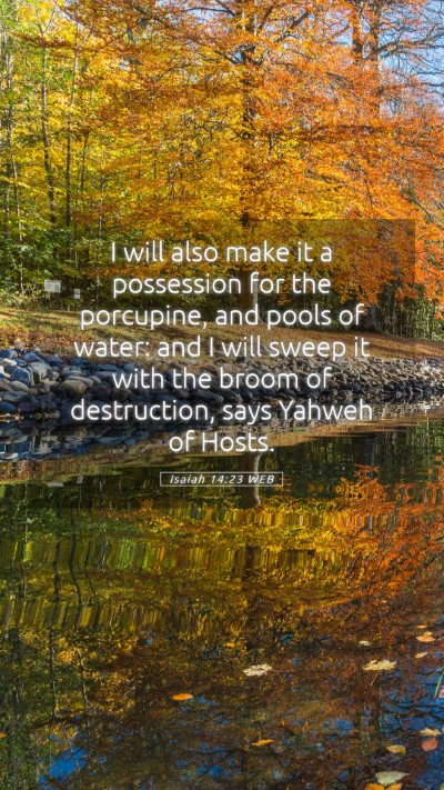 Picture 05 - Isaiah 14:23 WEB Mobile Phone Wallpaper - I will also make it a possession for the - Mobile Bible Verse Wallpaper
