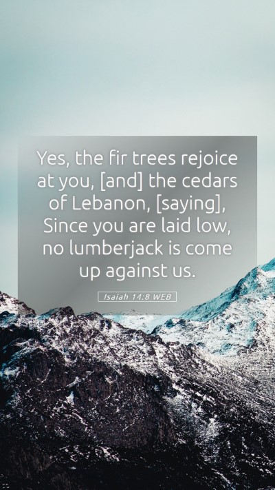 Picture 05 - Isaiah 14:8 WEB Mobile Phone Wallpaper - Yes, the fir trees rejoice at you, [and] the - Mobile Bible Verse Wallpaper