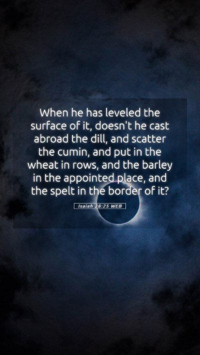 Picture 05 - Isaiah 28:25 WEB Mobile Phone Wallpaper - When he has leveled the surface of it, doesn't he - Mobile Bible Verse Wallpaper