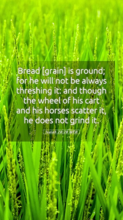 Picture 05 - Isaiah 28:28 WEB Mobile Phone Wallpaper - Bread [grain] is ground; for he will not be - Mobile Bible Verse Wallpaper