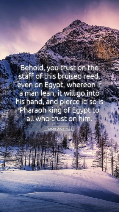 Picture 05 - Isaiah 36:6 WEB Mobile Phone Wallpaper - Behold, you trust on the staff of this bruised - Mobile Bible Verse Wallpaper