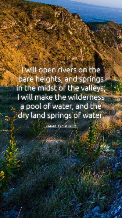Picture 05 - Isaiah 41:18 WEB Mobile Phone Wallpaper - I will open rivers on the bare heights, and - Mobile Bible Verse Wallpaper
