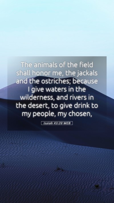 Picture 05 - Isaiah 43:20 WEB Mobile Phone Wallpaper - The animals of the field shall honor me, the - Mobile Bible Verse Wallpaper