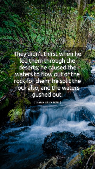Picture 05 - Isaiah 48:21 WEB Mobile Phone Wallpaper - They didn't thirst when he led them through the - Mobile Bible Verse Wallpaper