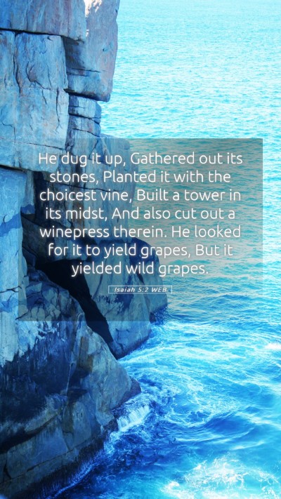 Picture 05 - Isaiah 5:2 WEB Mobile Phone Wallpaper - He dug it up, Gathered out its stones, Planted it - Mobile Bible Verse Wallpaper