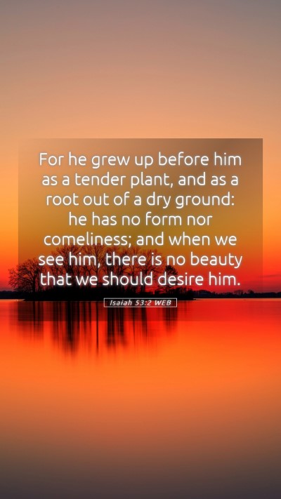 Picture 05 - Isaiah 53:2 WEB Mobile Phone Wallpaper - For he grew up before him as a tender plant, and - Mobile Bible Verse Wallpaper