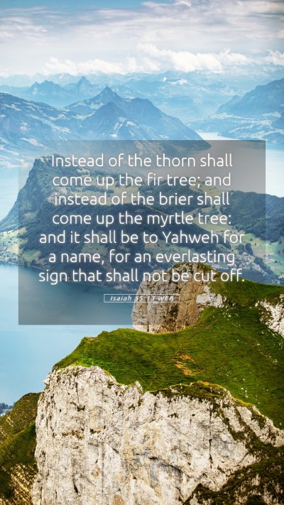 Picture 05 - Isaiah 55:13 WEB Mobile Phone Wallpaper - Instead of the thorn shall come up the fir tree; - Mobile Bible Verse Wallpaper