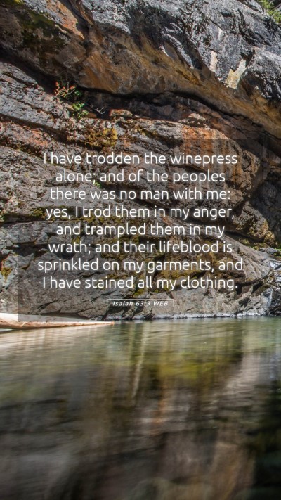Picture 05 - Isaiah 63:3 WEB Mobile Phone Wallpaper - I have trodden the winepress alone; and of the - Mobile Bible Verse Wallpaper
