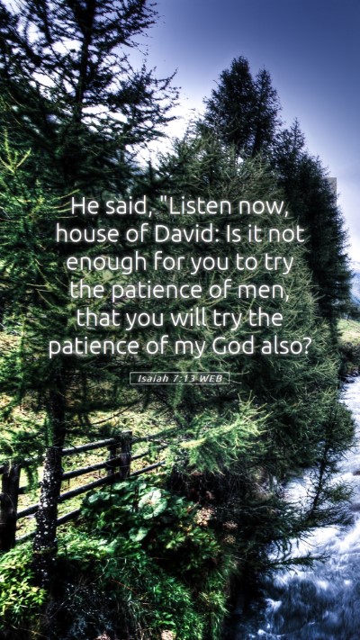 Picture 05 - Isaiah 7:13 WEB Mobile Phone Wallpaper - He said, 