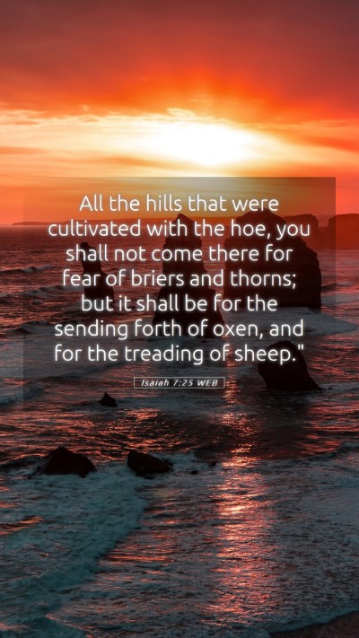 Picture 05 - Isaiah 7:25 WEB Mobile Phone Wallpaper - All the hills that were cultivated with the hoe, - Mobile Bible Verse Wallpaper